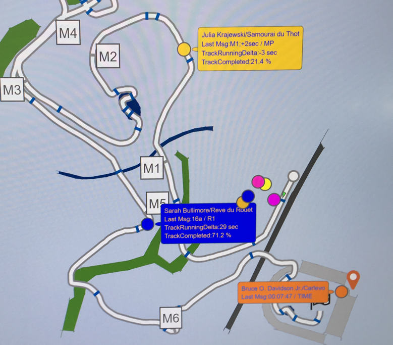 Slide Image